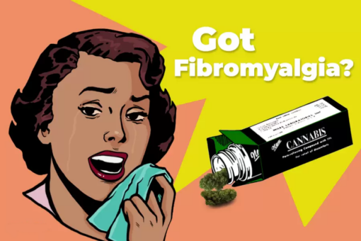 Could Cannabis Alleviate Fibromyalgia Troubles in Women